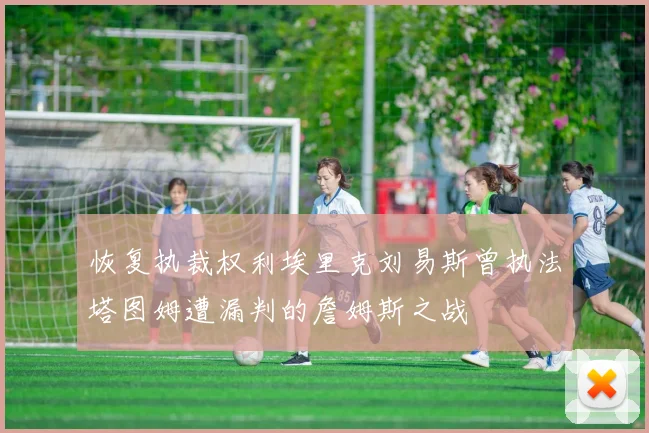 恢复执裁权利埃里克刘易斯曾执法塔图姆遭漏判的詹姆斯之战