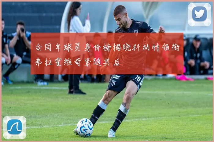 合同年球员身价榜揭晓科纳特领衔弗拉霍维奇紧随其后