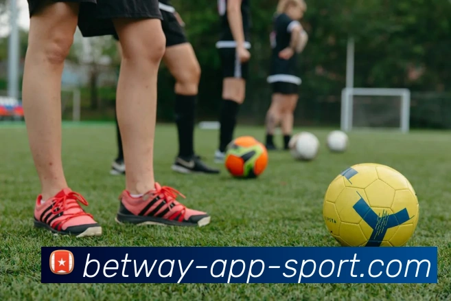 必威体育平台生态图