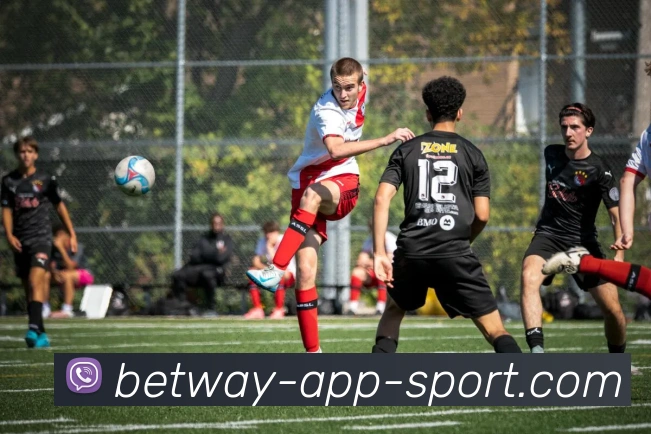 必威体育APP 封面图